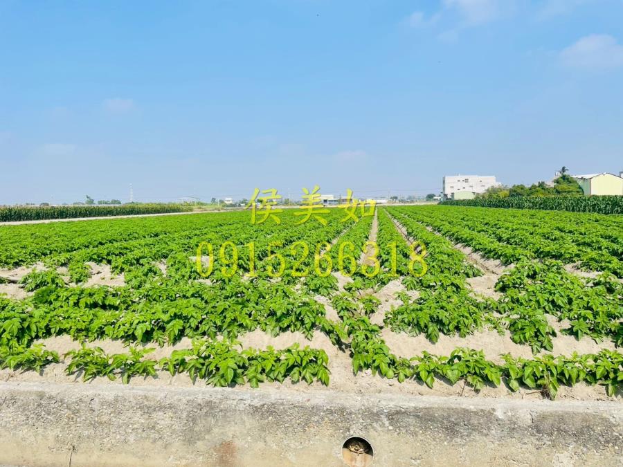 太保田尾社區旁農地